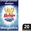 Robijn Droogtrommeldoekjes Intense 20 Stuks