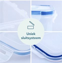 Lock&Lock Vershouddoos - Bewaardoos Met Deksel - Voor Ontbijtkoek Peperkoek En Cake - Cakedoos - 100% Luchtdicht - 2 Liter -Huishoud Verkoop 1191x1200 3