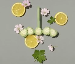 Marcel's Green Soap Toiletblok Geranium & Citroen - 55 Gram -Huishoud Verkoop 1200x1023