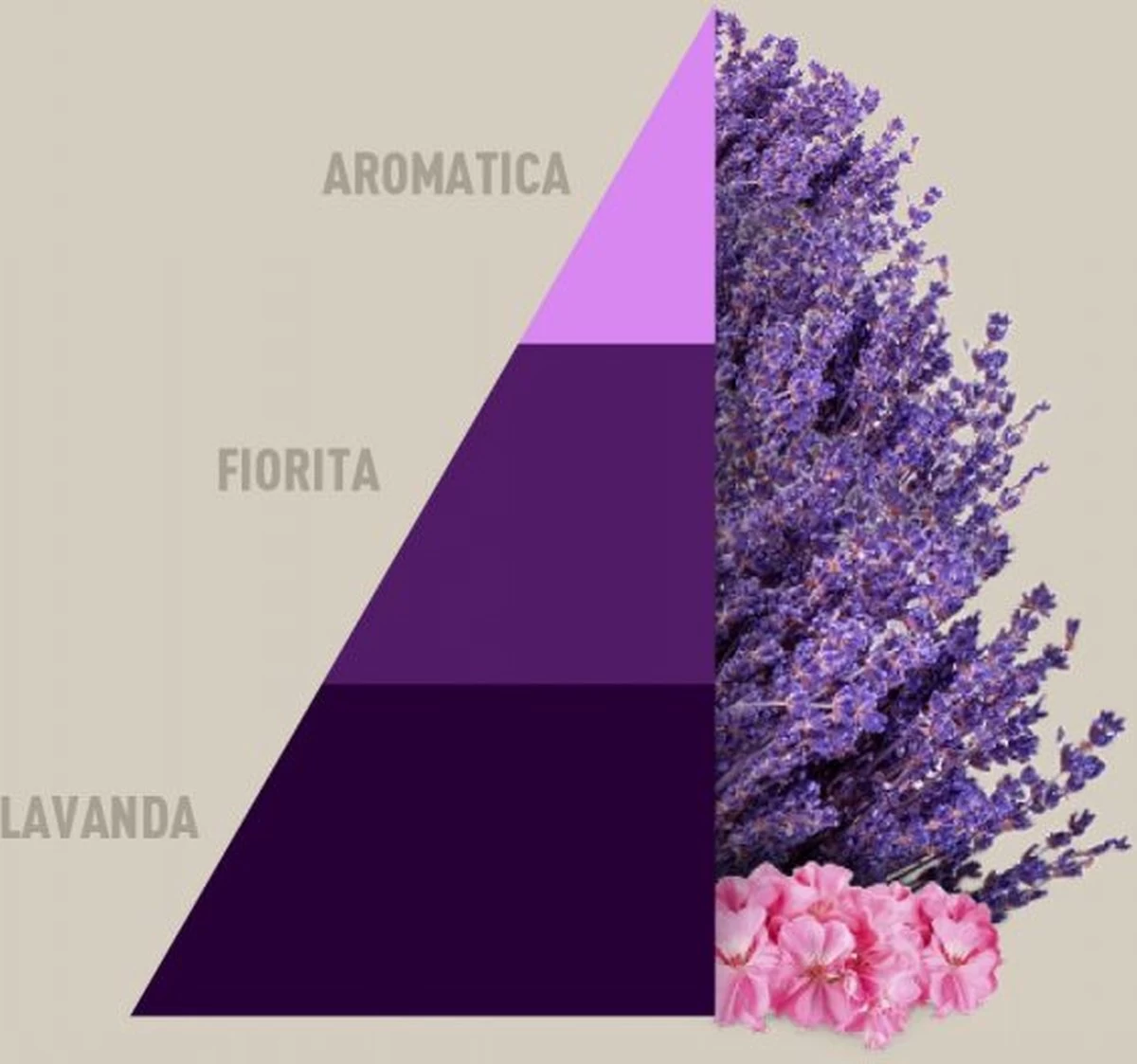 Horomia Wasparfum Aromatic Lavender - 500ml 2 Horomia Wasparfum Aromatic Lavender - 500ml - Afbeelding 2