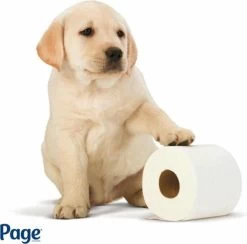 Page Toiletpapier - Eco - Duurzaam - 24 Rollen - Voordeelverpakking -Huishoud Verkoop 1200x1186 2