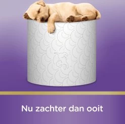 Page Toiletpapier - Kussenzacht Wc Papier - Voordeelverpakking - 24 Rollen 19 Page Toiletpapier - Kussenzacht Wc Papier - Voordeelverpakking - 24 Rollen -Huishoud Verkoop 1200x1186 3