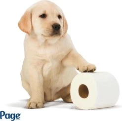 Bestsellers -Huishoud Verkoop 1200x1188 15