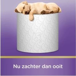 Scottex Toiletpapier - Kussenzacht Design Wc Papier - 84 Rollen 9 Scottex Toiletpapier - Kussenzacht Design Wc Papier - 84 Rollen -Huishoud Verkoop 1200x1197 16