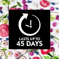 Air Wick Essential Mist Automatische Geurverspreider Luchtverfrisser - Innerlijke Rust - Navulling -Huishoud Verkoop 1200x1200 1395