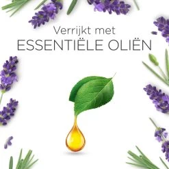 Air Wick Essential Mist Luchtverfrisser - Ontspannende Lavendel - 1 Zwart Apparaat + 2 Navullingen 14 Air Wick Essential Mist Luchtverfrisser - Ontspannende Lavendel - 1 Zwart Apparaat + 2 Navullingen -Huishoud Verkoop 1200x1200 1432