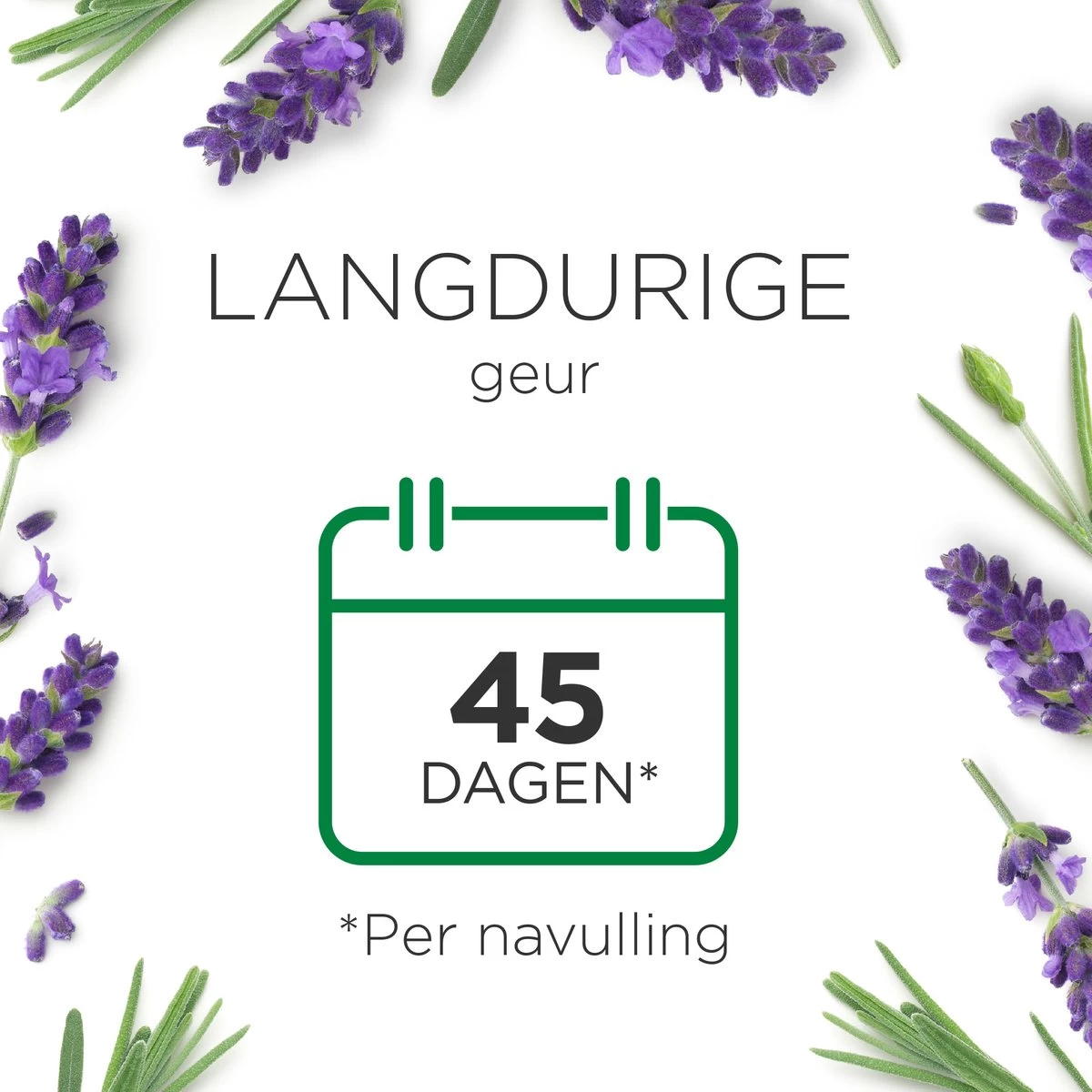 Air Wick Essential Mist Automatische Luchtverfrisser - Ontspannende Lavendel - 3 Navullingen 3 Air Wick Essential Mist Automatische Luchtverfrisser - Ontspannende Lavendel - 3 Navullingen - Afbeelding 3