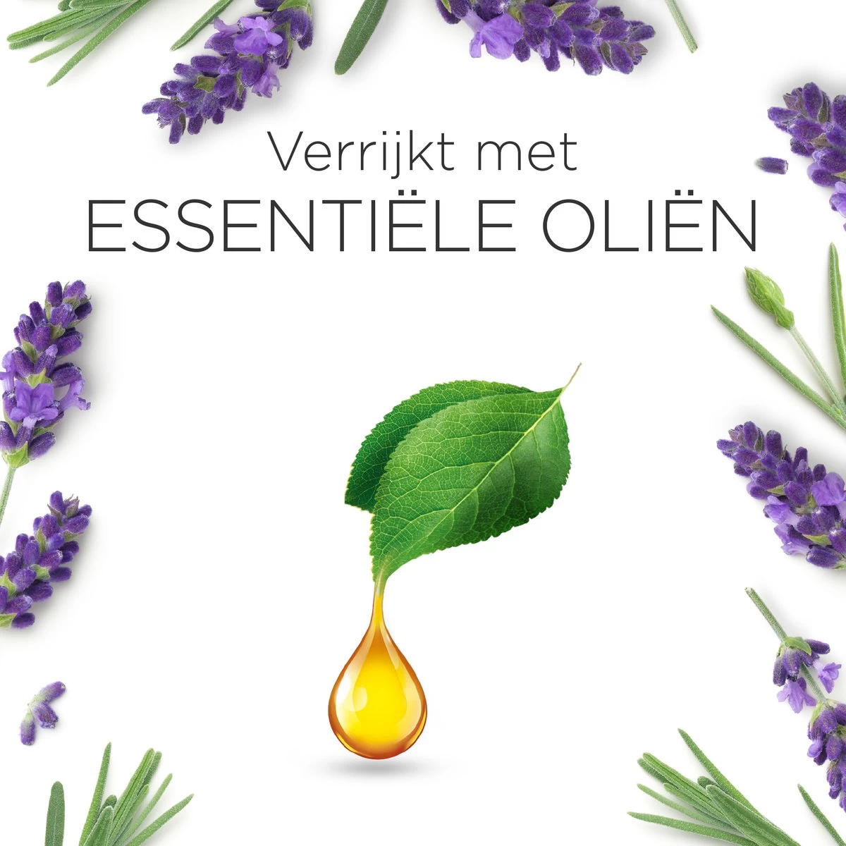 Air Wick Essential Mist Automatische Luchtverfrisser - Ontspannende Lavendel - 3 Navullingen 7 Air Wick Essential Mist Automatische Luchtverfrisser - Ontspannende Lavendel - 3 Navullingen - Afbeelding 7