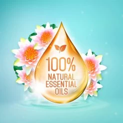 Frisse Reus Lotus Amandel Gel Vloeibaar Wasmiddel - Witte Was - Voordeelverpakking - 120 Wasbeurten 25 Frisse Reus Lotus Amandel Gel Vloeibaar Wasmiddel - Witte Was - Voordeelverpakking - 120 Wasbeurten -Huishoud Verkoop 1200x1200 284