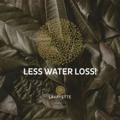 Lavayette XL Drogerballen Met 25ml Wasparfum - WasdrogerBallen – Droogballen – Wasbol – 100% Nieuw-Zeelands Schapenwol – Milieu- En Diervriendelijk – 6 Stuks -Huishoud Verkoop 1200x1200 547