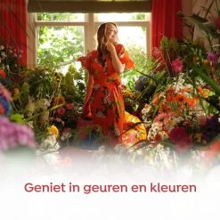 Robijn Klein & Krachtig Rosé Chique Vloeibaar Wasmiddel - 8 X 19 Wasbeurten - Voordeelverpakking 10 Robijn Klein & Krachtig Rosé Chique Vloeibaar Wasmiddel - 8 X 19 Wasbeurten - Voordeelverpakking -Huishoud Verkoop 1200x1200 73