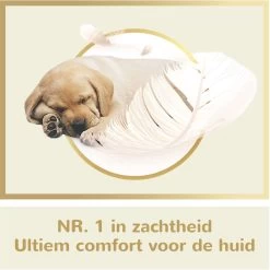 Page Puur Toiletpapier - 24 Rollen - Extra Duurzaam Wc Papier - Voordeelverpakking 11 Page Puur Toiletpapier - 24 Rollen - Extra Duurzaam Wc Papier - Voordeelverpakking -Huishoud Verkoop 1200x1200 984