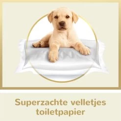 Page Puur Toiletpapier - 24 Rollen - Extra Duurzaam Wc Papier - Voordeelverpakking 13 Page Puur Toiletpapier - 24 Rollen - Extra Duurzaam Wc Papier - Voordeelverpakking -Huishoud Verkoop 1200x1200 985