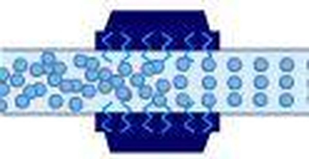 Alpine® Hét Waterontharder Alternatief All-in-one XL Antikalk Magneet Voor Koper En Kunststof Leidingen 20.000 Gauss - Energiebesparing - Energie Besparen - Gas Besparen 4 Alpine® Hét Waterontharder Alternatief All-in-one XL Antikalk Magneet Voor Koper En Kunststof Leidingen 20.000 Gauss - Energiebesparing - Energie Besparen - Gas Besparen - Afbeelding 4