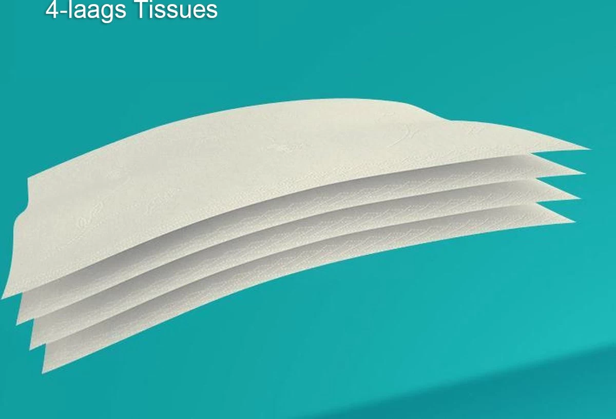 BAMTIME BamboeTissuepapier 4-laags Wc Papier - Wit Color Gebleekt 27 (3*9) Rollen 3 BAMTIME BamboeTissuepapier 4-laags Wc Papier - Wit Color Gebleekt 27 (3*9) Rollen - Afbeelding 3