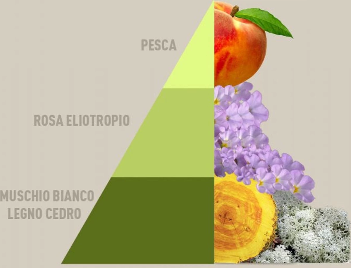 Horomia Wasparfum Musica-del-Sole - 500ml 2 Horomia Wasparfum Musica-del-Sole - 500ml - Afbeelding 2